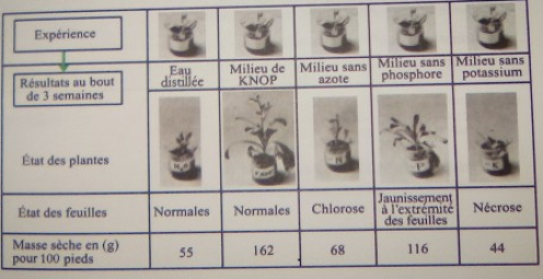 exercice la méthode synthétique svt première c et d les besoins